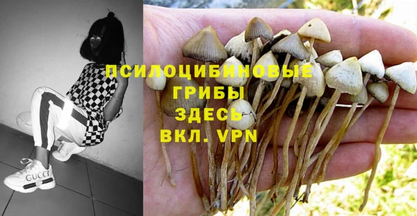 соль курить ск Абаза