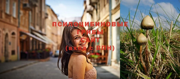 прущие крисы Абинск