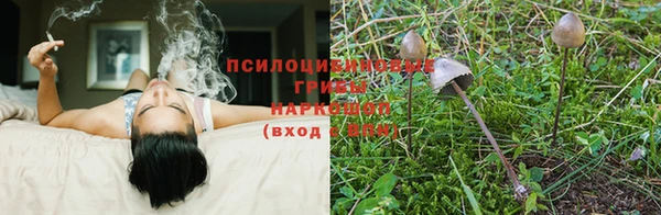 соль курить ск Абаза
