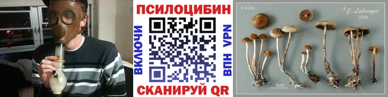hydra ссылка  Заинск  Галлюциногенные грибы Psilocybe 
